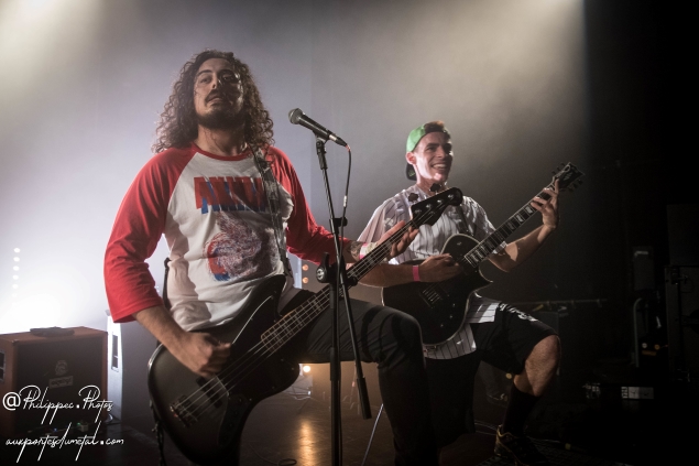 Crisix-Picaud2019Tague-7.jpg