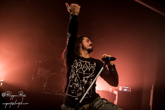 Crisix-Picaud2019Tague-8.jpg