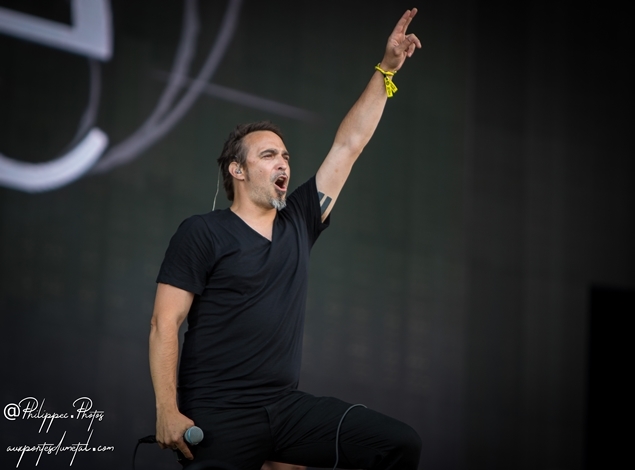 HF2019-Klone-03.jpg