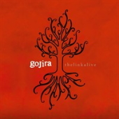 GOJIRA - The Link